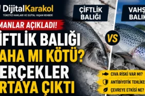 Çiftlik balığı ile vahşi balık karşılaştırması. Uzmanlara göre balığın güvenliği ve besin değeri türüne, üretim koşullarına ve denetim standartlarına göre değişiyor.