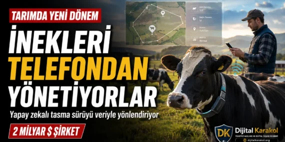 İlk duyunca şaka gibi geliyor: i̇nekleri artık telefonla yönetiyorlar