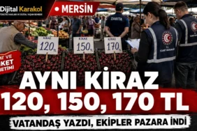 Mersin’de semt pazarında kiraz fiyatları ve etiket denetimi yapan ekipler